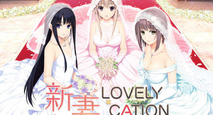 新妻LOVELY×CATION 精翻汉化版+全CG存档 大型ADV游戏-久天堂游戏